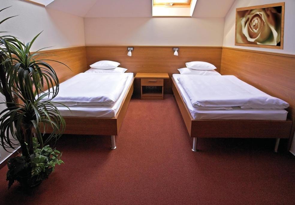 Hotel Promedicum Panzio Veszprém Pokoj fotografie